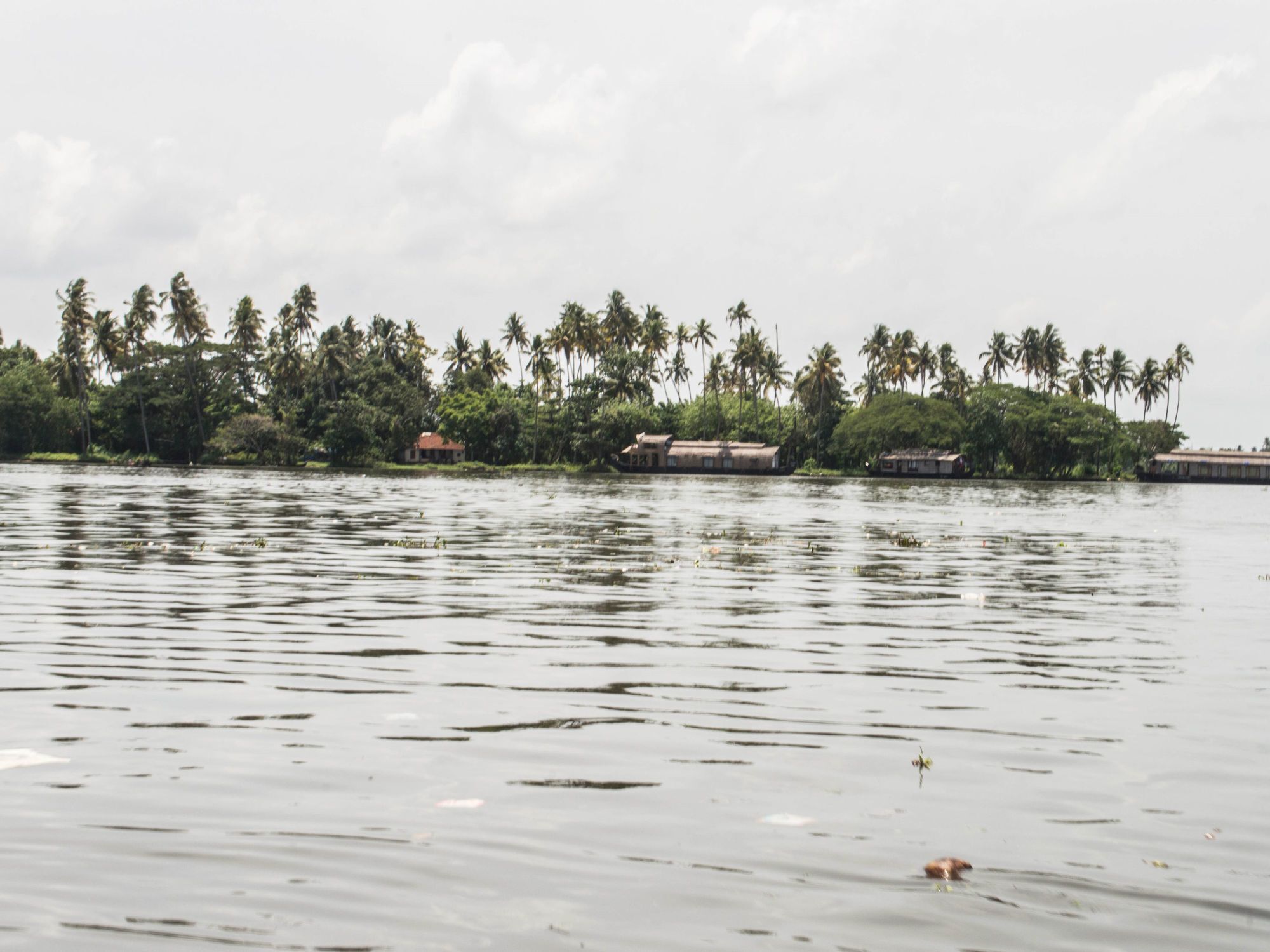 Oyo 5237 Island Lake Resort Alappuzha Екстериор снимка